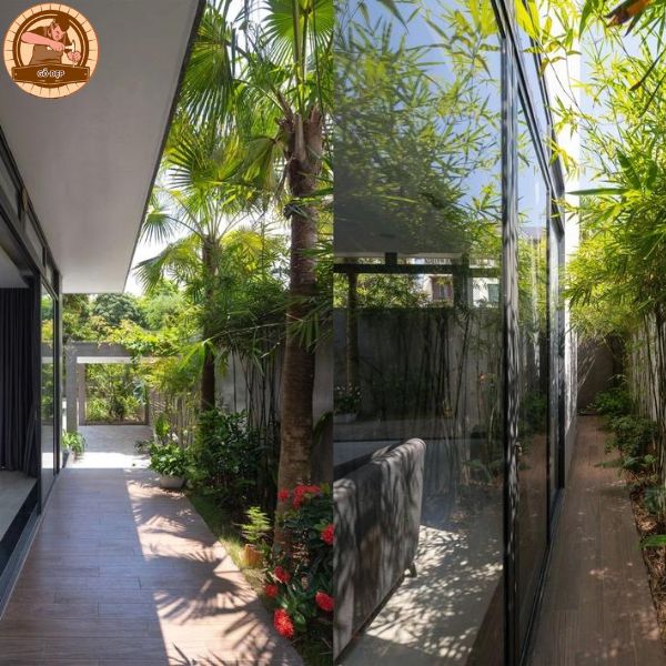 Ánh nắng mặt trời chiếu vào nhà sẽ đem lại sinh khí cho ngôi nhà 