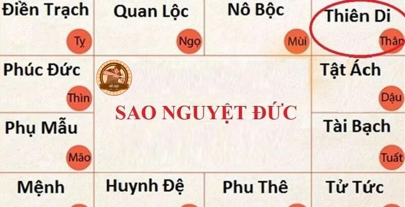 Sao Nguyệt Đức đặt tại cung Thiên Di là người có tính cách nhẹ nhàng, khiêm tốn 