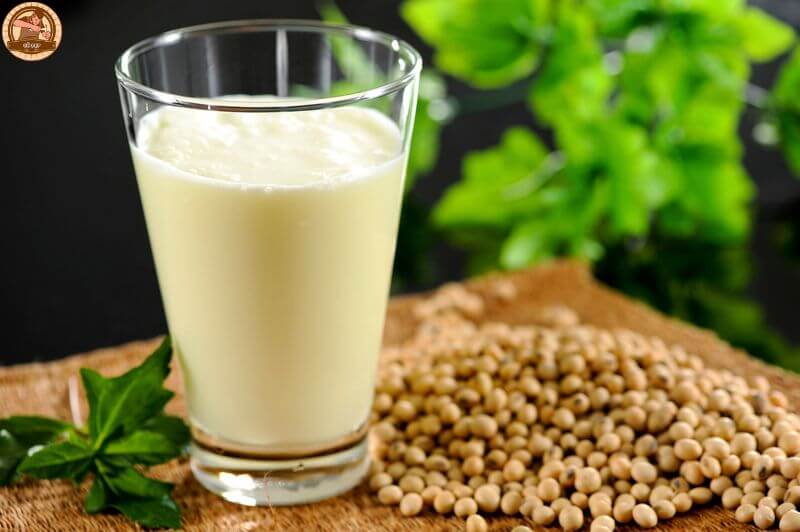 Sữa đậu nành lựa chọn tuyệt vời thay thế sữa động vật