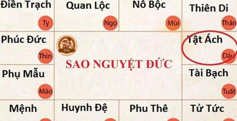 Sao Nguyệt Đức đặt tại cung Tật Ách là người có khả năng tránh được nhiều rủi ro và bệnh tật 