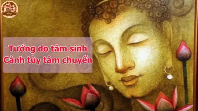Vận mệnh qua tướng tai