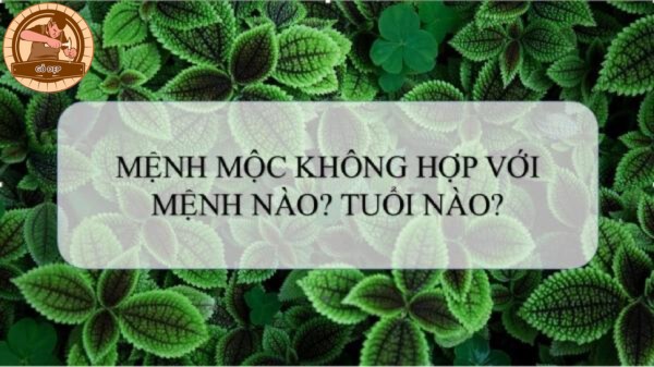 Dương Liễu Mộc hợp hay không hợp cung mệnh nào 