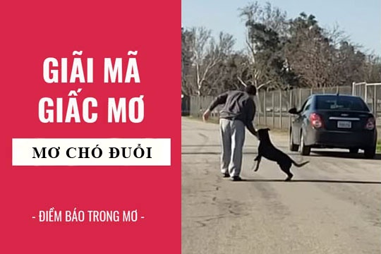 Lý giải các giấc mơ bị chó đuổi