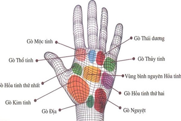 Tướng Xuất Ngoại - Xem Tướng Chuẩn Xác Và Chi Tiết Nhất