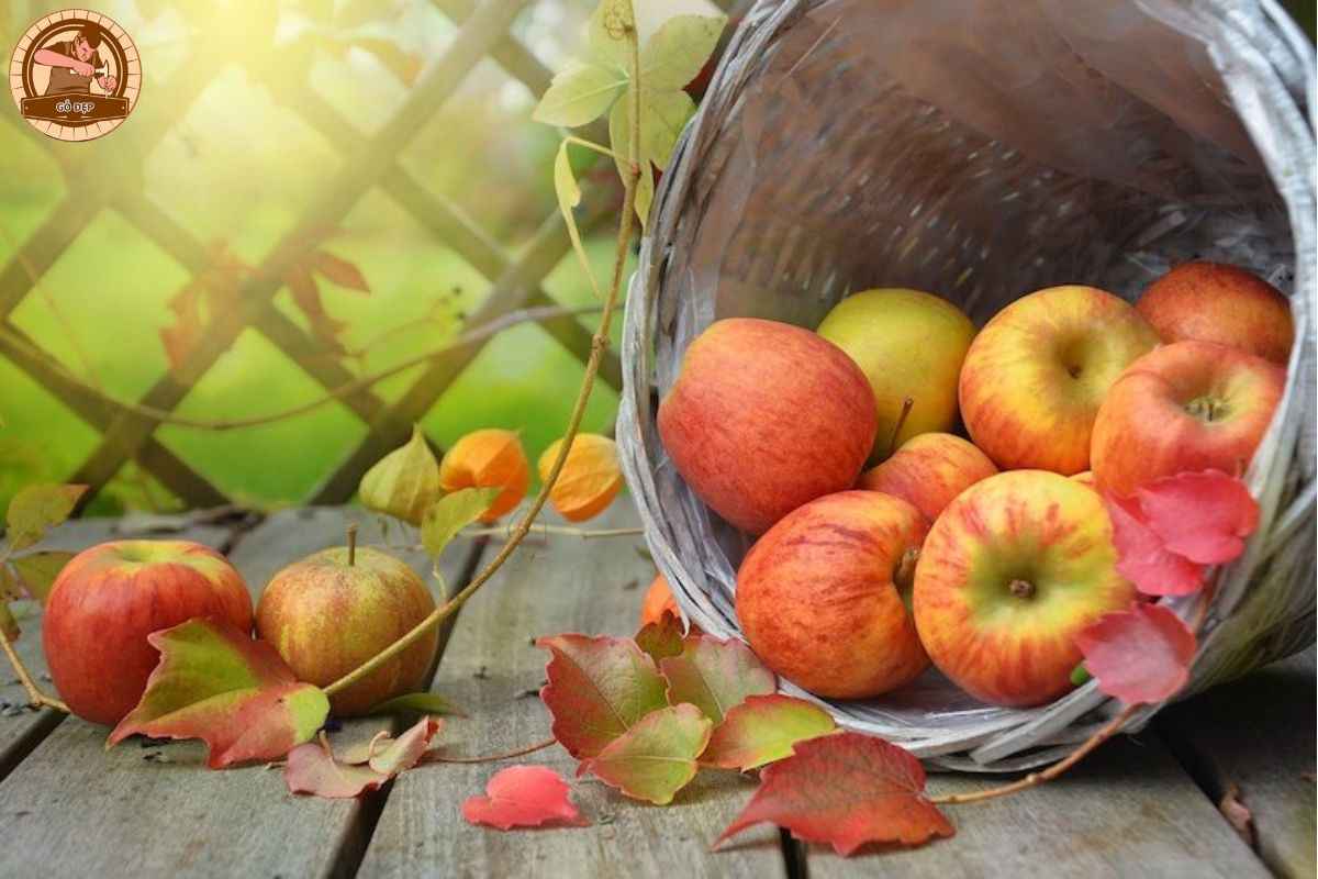 Ý nghĩa nằm mơ thấy người ta cho trái cây