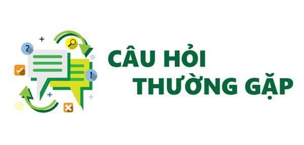 Các câu hỏi thường gặp khi thuê xe ô tô Hà Nội