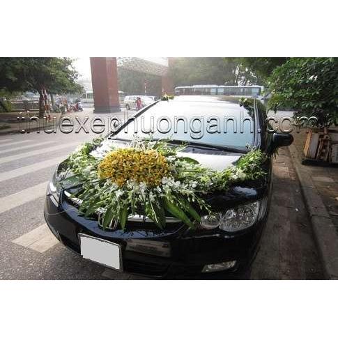 Hoa Xe 08