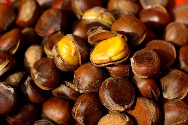 Công dụng của hạt dẻ với bà bầu Công dụng của hạt dẻ với bà bầu