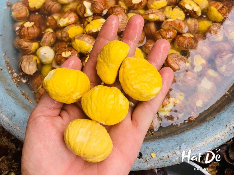 Hatdeonline cung cấp sản phẩm hạt dẻ tách sẵn