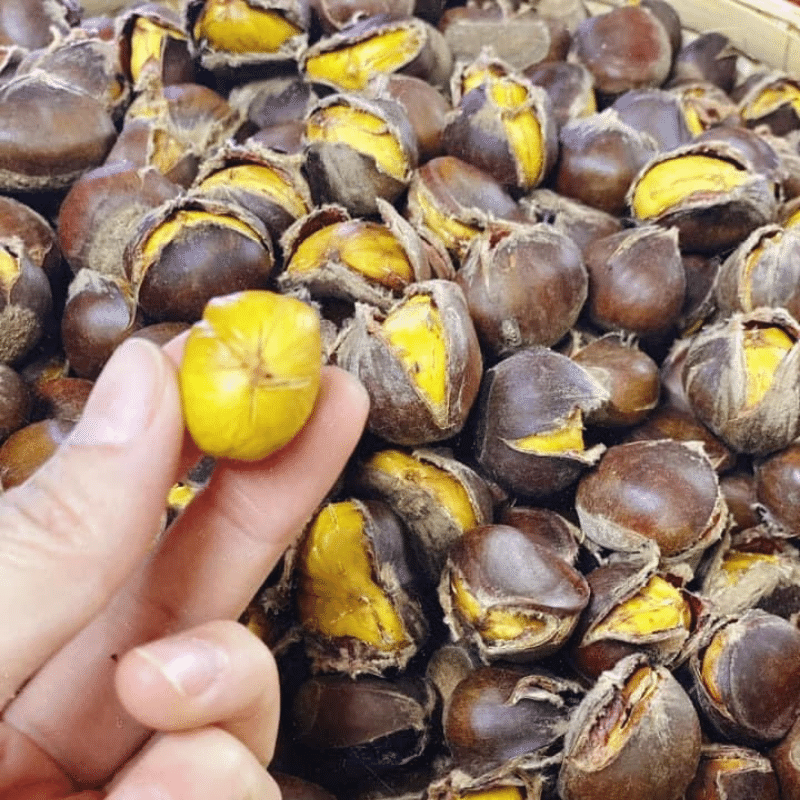 Hạt Dẻ Rang