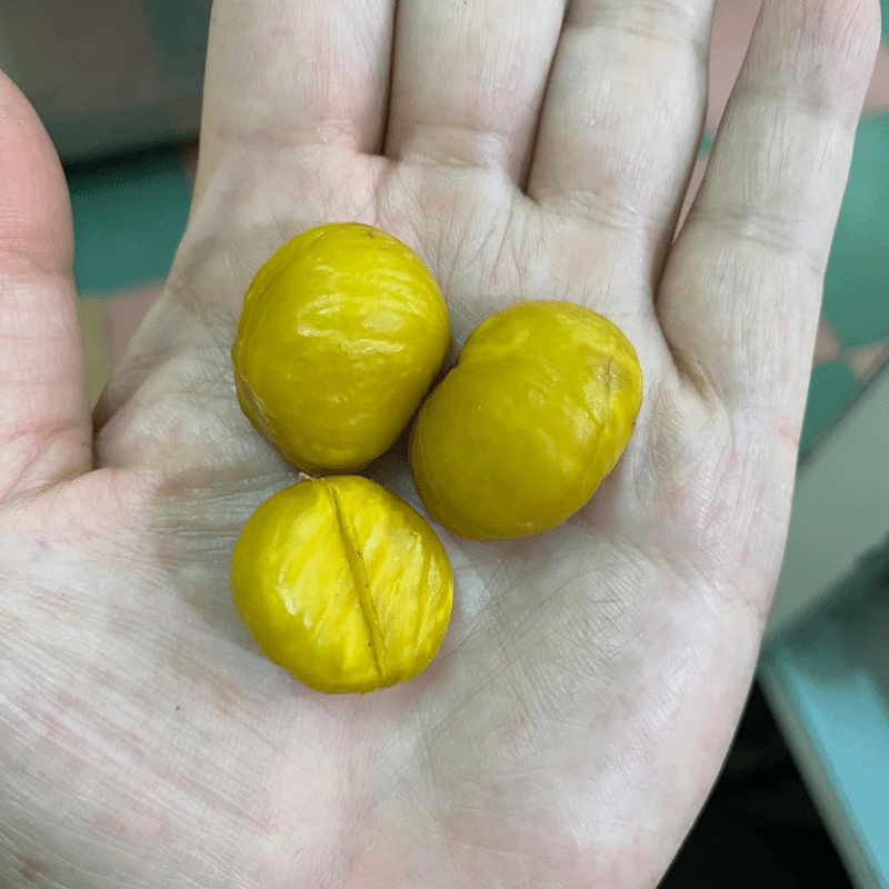 1KG Hạt Dẻ Tươi