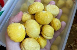 Các loại hạt khác