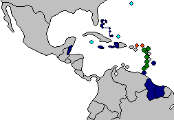 East Caribbean States- khu vực Đông Caribe
