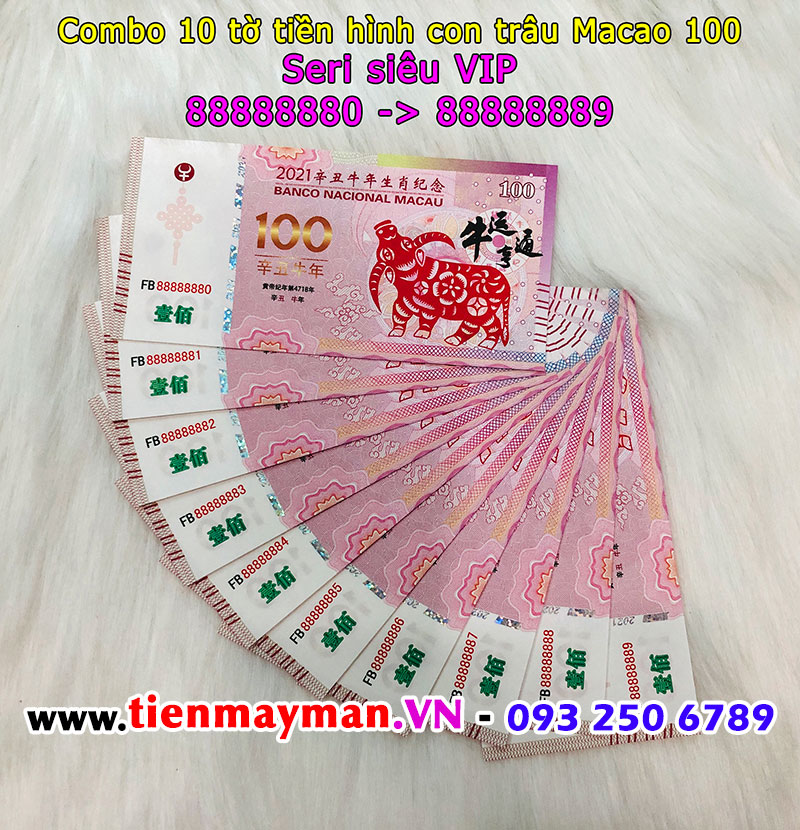 Tiền Macao hình con trâu 100 seri VIP 88888888