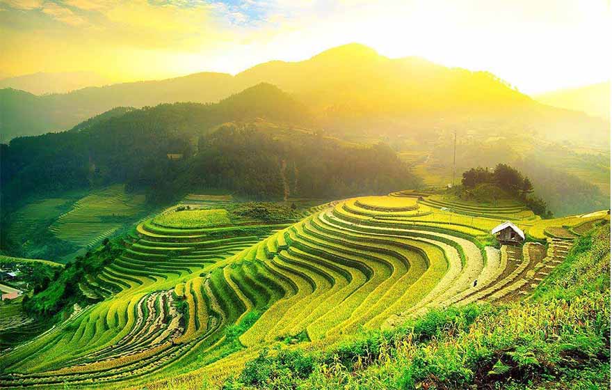 mu-cang-chai-mua-vang-tren-reo-cao