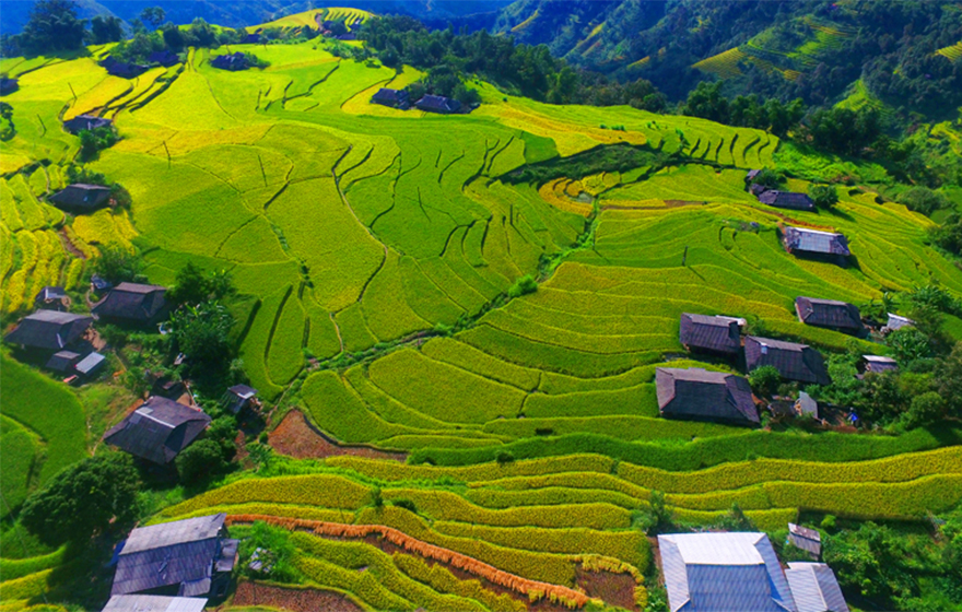 HOÀNG SU PHÌ – NƠI CÓ RUỘNG BẬC THANG ĐẸP ĐẾN NAO LÒNG - tourcoach Hoàng Su Phì – Nơi Có Ruộng Bậc Thang Đẹp Đến Nao Lòng - Tourcoach