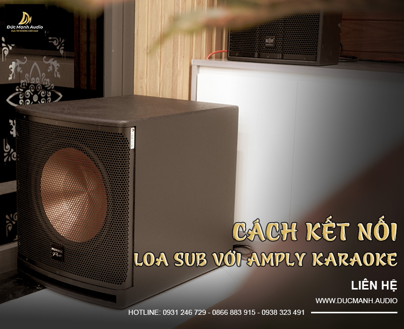 Cách kết nối loa sub với amply karaoke đơn giản