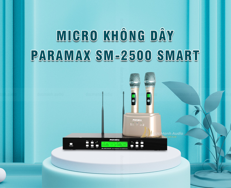 Top 6 micro karaoke không dây hay nhất 2023