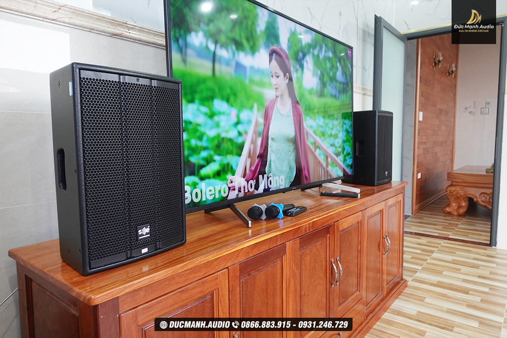 Lắp đặt dàn karaoke gia đình hơn 50 triệu tại Đồng Nai (Loa SE K-10i, Paramax MA-120, Paramax MX-220, Paramax SM-1000 Smart, Sub P'Sound Sub-2030)