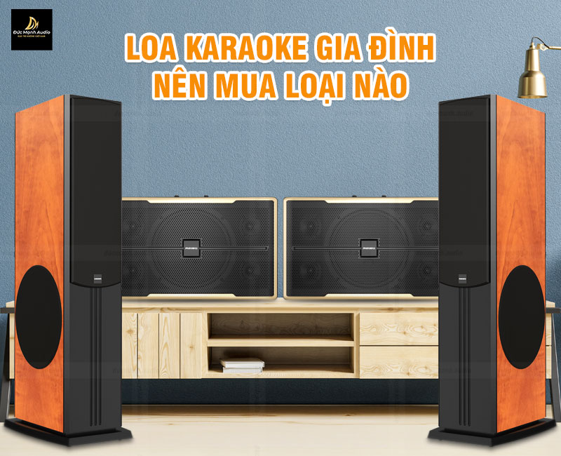 Loa karaoke gia đình nên mua loại nào là tốt?