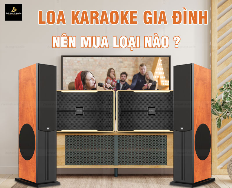 Loa karaoke gia đình nên mua loại nào là tốt nhất?