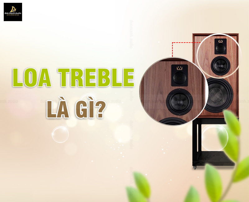 Loa treble là gì? Cấu tạo của loa treble