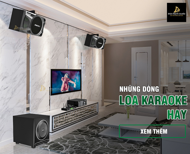 Những dòng loa karaoke hay nhất hiện nay