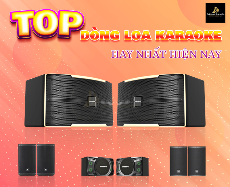 Tổng hợp dòng loa karaoke hay nhất hiện nay