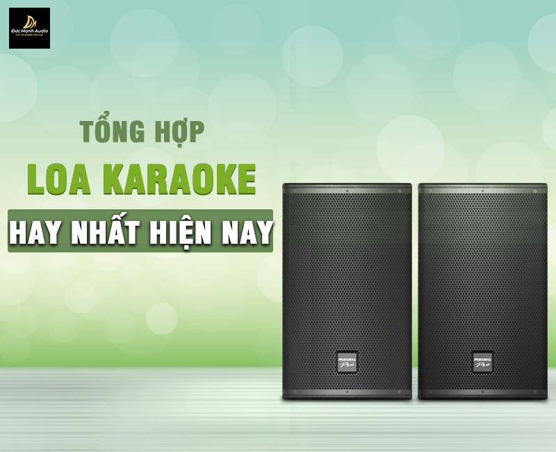 Tổng hợp loa karaoke gia đình hay nhất hiện nay