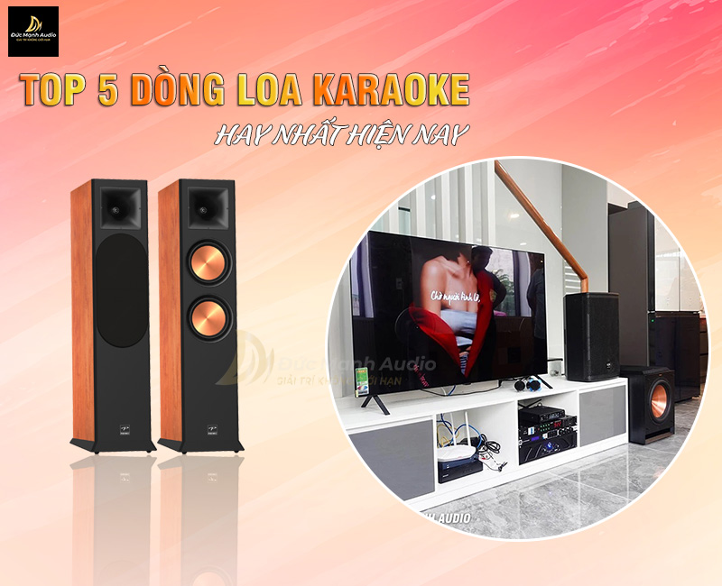 Top 5 dòng loa karaoke hay nhất hiện nay