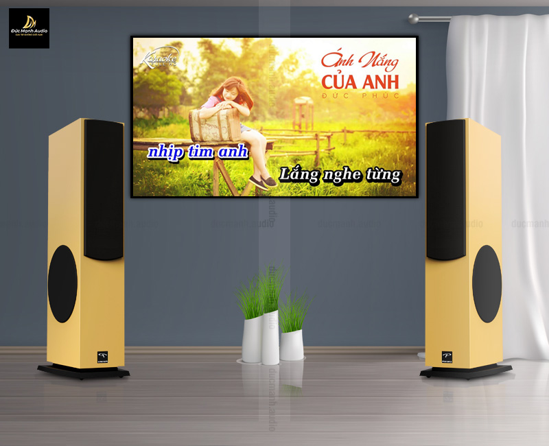 Top 5 loa đứng Paramax vừa nghe nhạc vừa karaoke 2023