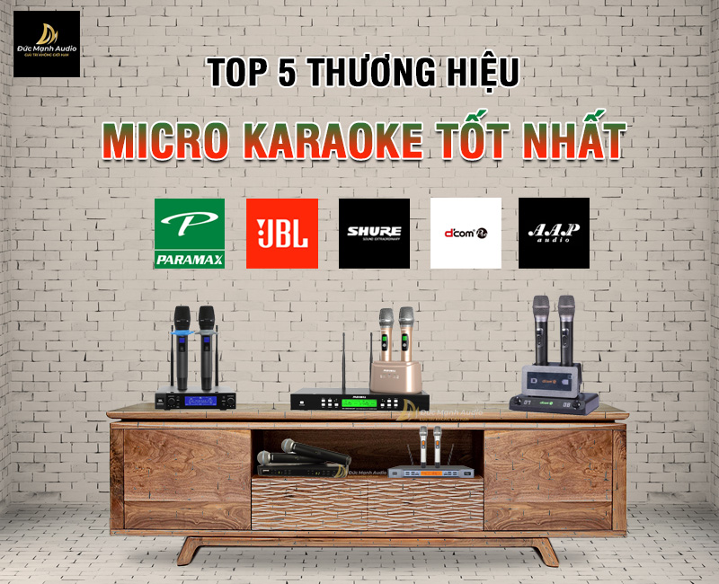 Top 5 thương hiệu micro karaoke tốt nhất hiện nay