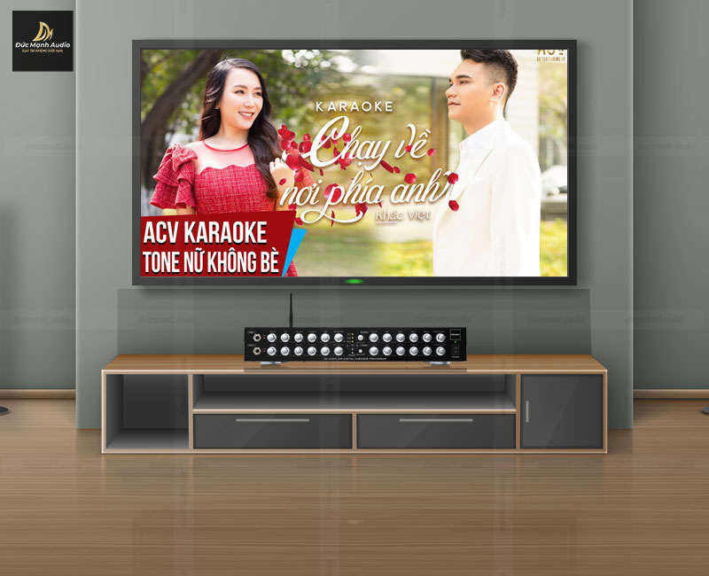 Top 5 vang số karaoke giá rẻ có giá đáng mua nhất 2022