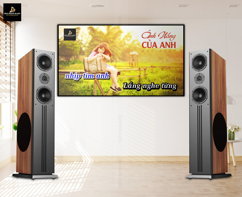 Top 6 loa cây hát karaoke hay nhất hiện nay