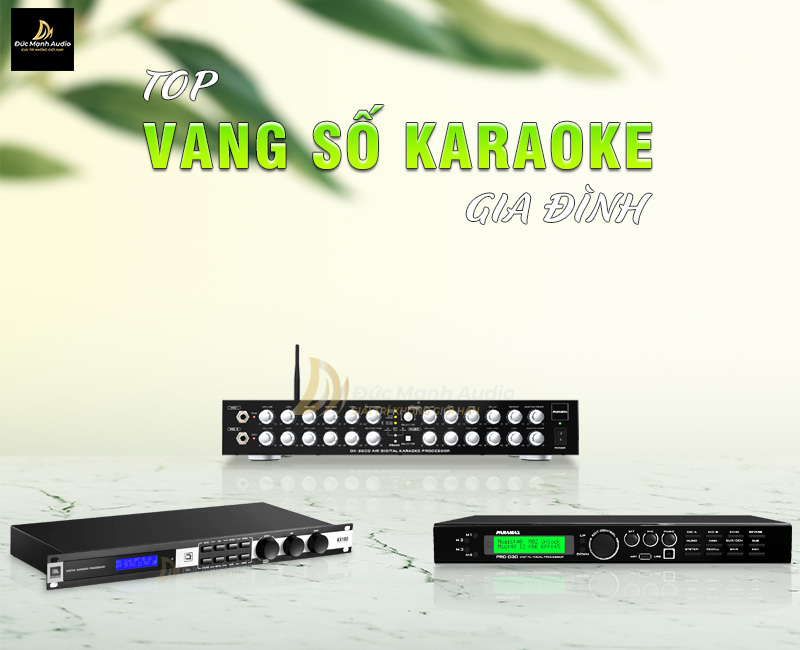 Top vang số karaoke gia đình tốt nhất