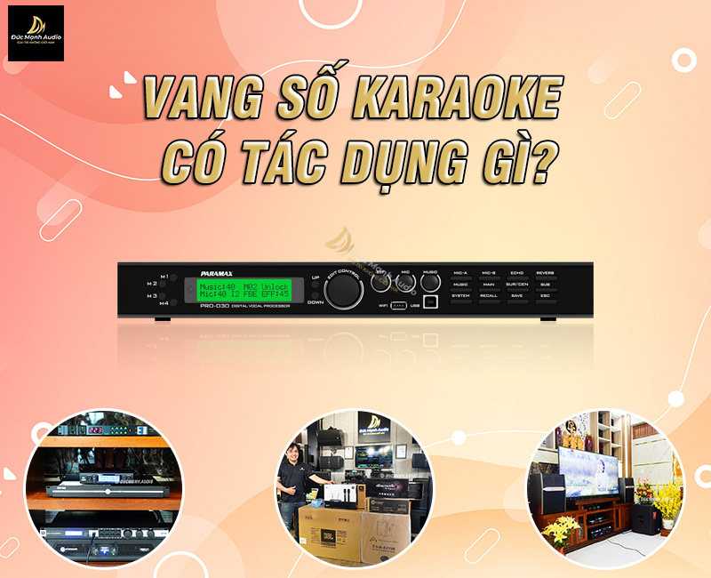 Vang số karaoke có tác dụng gì?