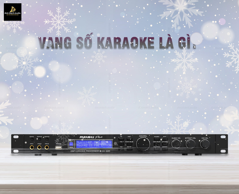 Vang số karaoke là gì? Những mẫu vang số karaoke bán chạy nhất