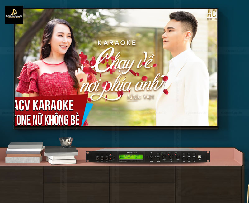 Top 4 vang số karaoke tốt nhất hiện nay