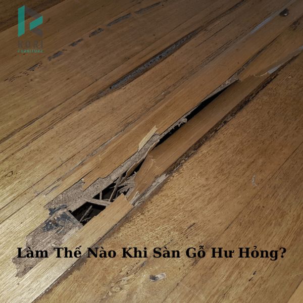 Làm Thế Nào Khi Sàn Gỗ Hư Hỏng?