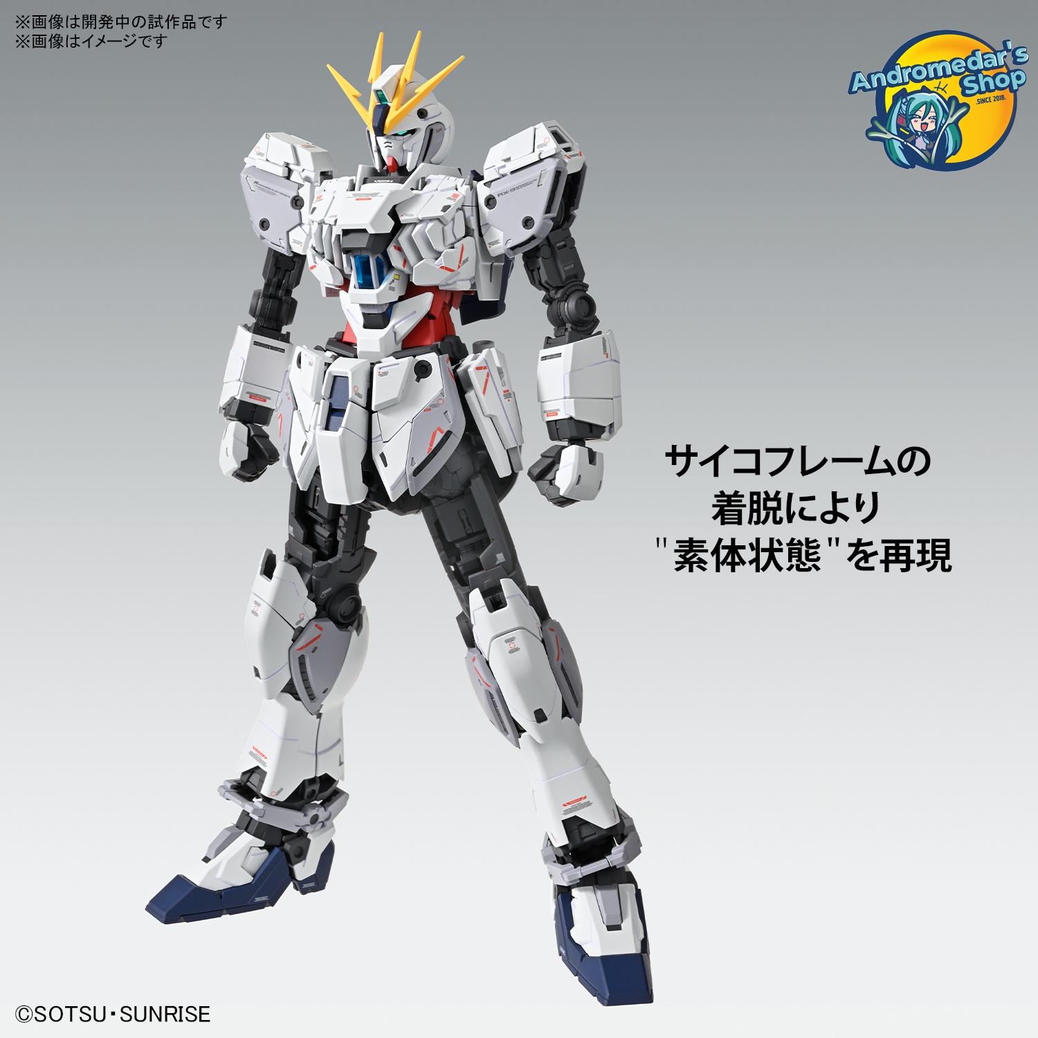 [Bandai] Mô hình lắp ráp Master Grade 1/100 MG Narrative Gundam C-Packs Ver. Ka  Model Kits