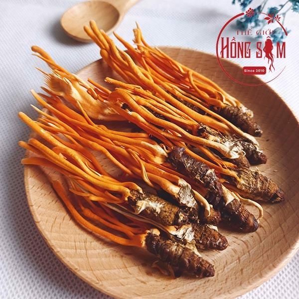 ĐÔNG TRÙNG HẠ THẢO KÝ CHỦ LÀ NẤM CẤY TRÊN NHỘNG TẰM PHÁT TRIỂN TỰ NHIÊN