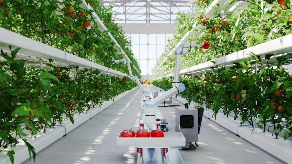 Robot đóng gói, thu hoạch tự động - Những tiến bộ công nghệ đang diễn ra