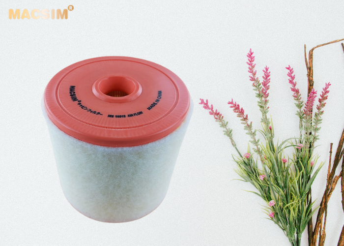 Lọc động cơ cao cấp AUDI A6 A6 8th  nhãn hiệu Macsim (MS16018)