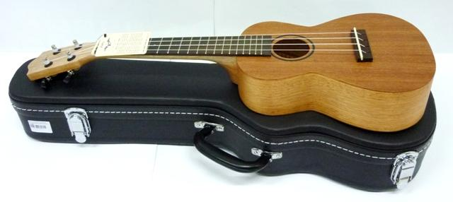 nen-mua-bao-dung-dan-ukulele-khong