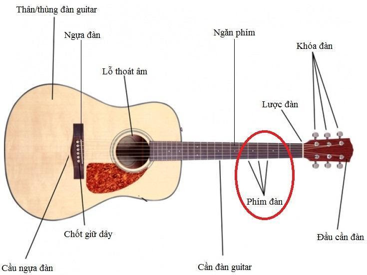 hoc-dan-guitar-o-dau-ha-noi-chat-luong-cho-nguoi-moi-bat-dau