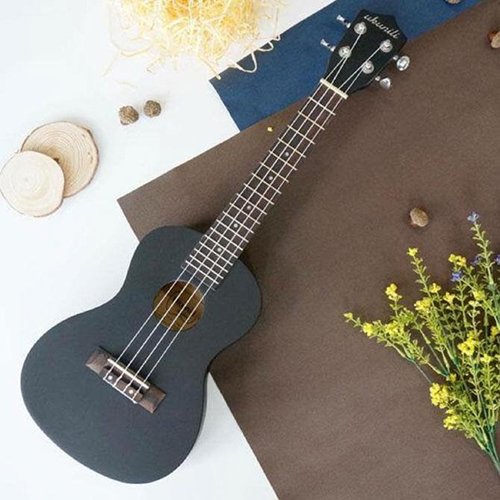 dia-chi-mua-dan-ukulele-o-ha-noi-chinh-hang