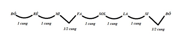 Dựa vào cung và nửa cung, bạn sẽ đọc được vị trí các nốt nhạc như ví dụ dưới đây. 