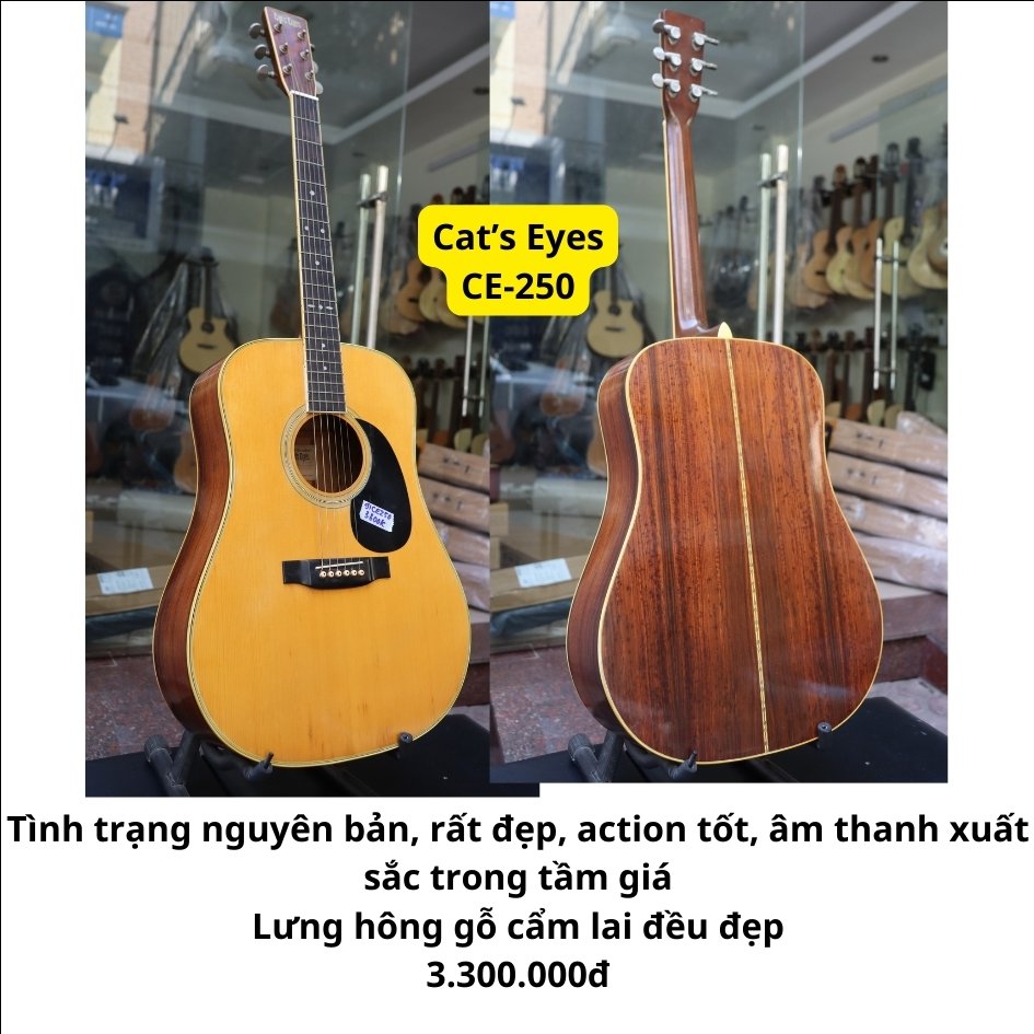 dan-guitar-acoustic-cat-s-eyes-ce250-nhat-cu-kha-dep