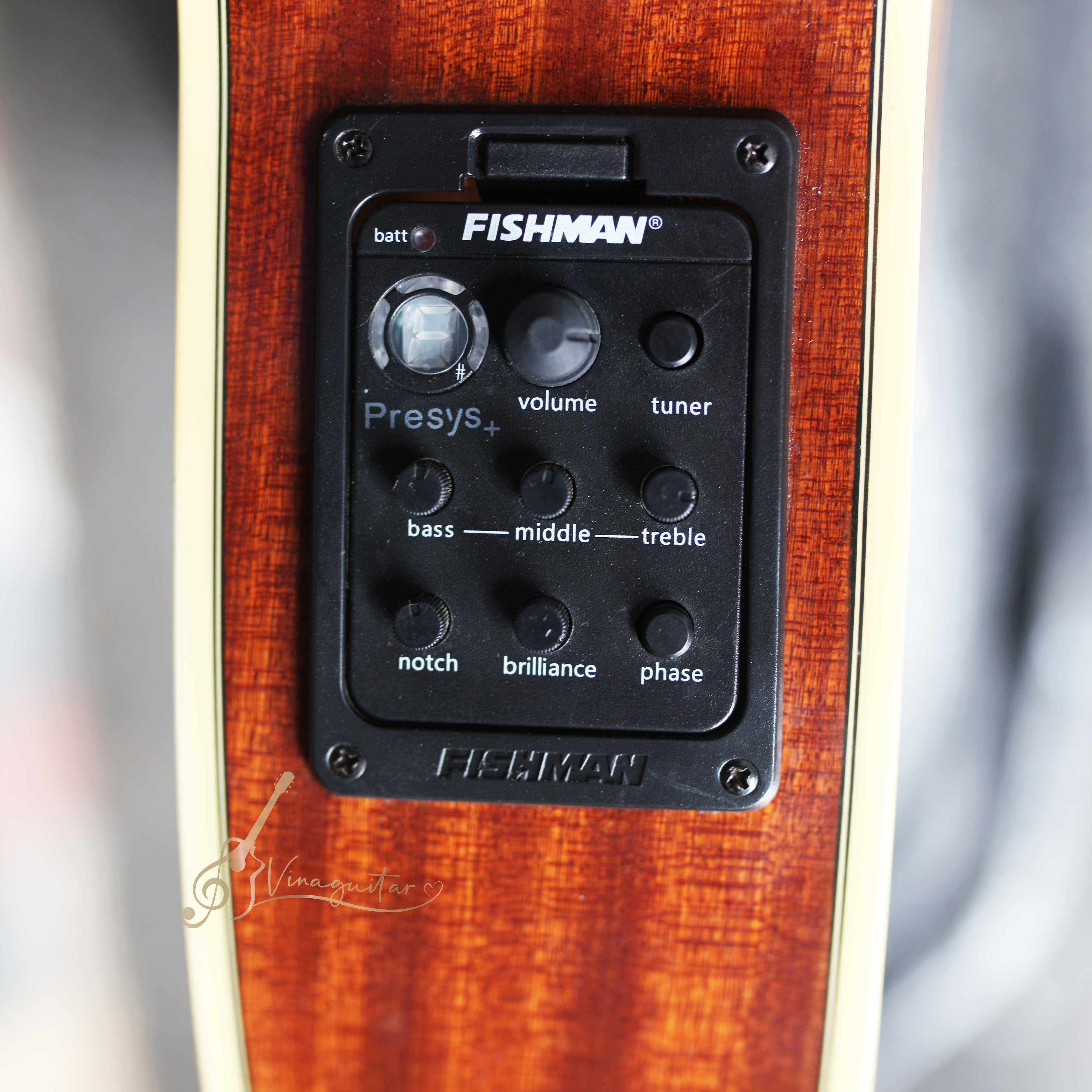 eq-fishman-301-f1