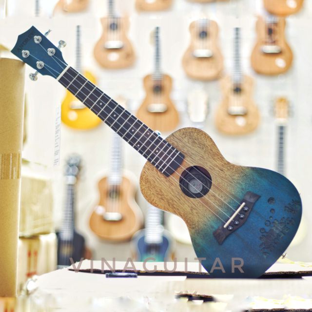 da-n-ukulele-concert-tenor-andrew-xb01-vinaguitar-phan-phoi-chinh-hang